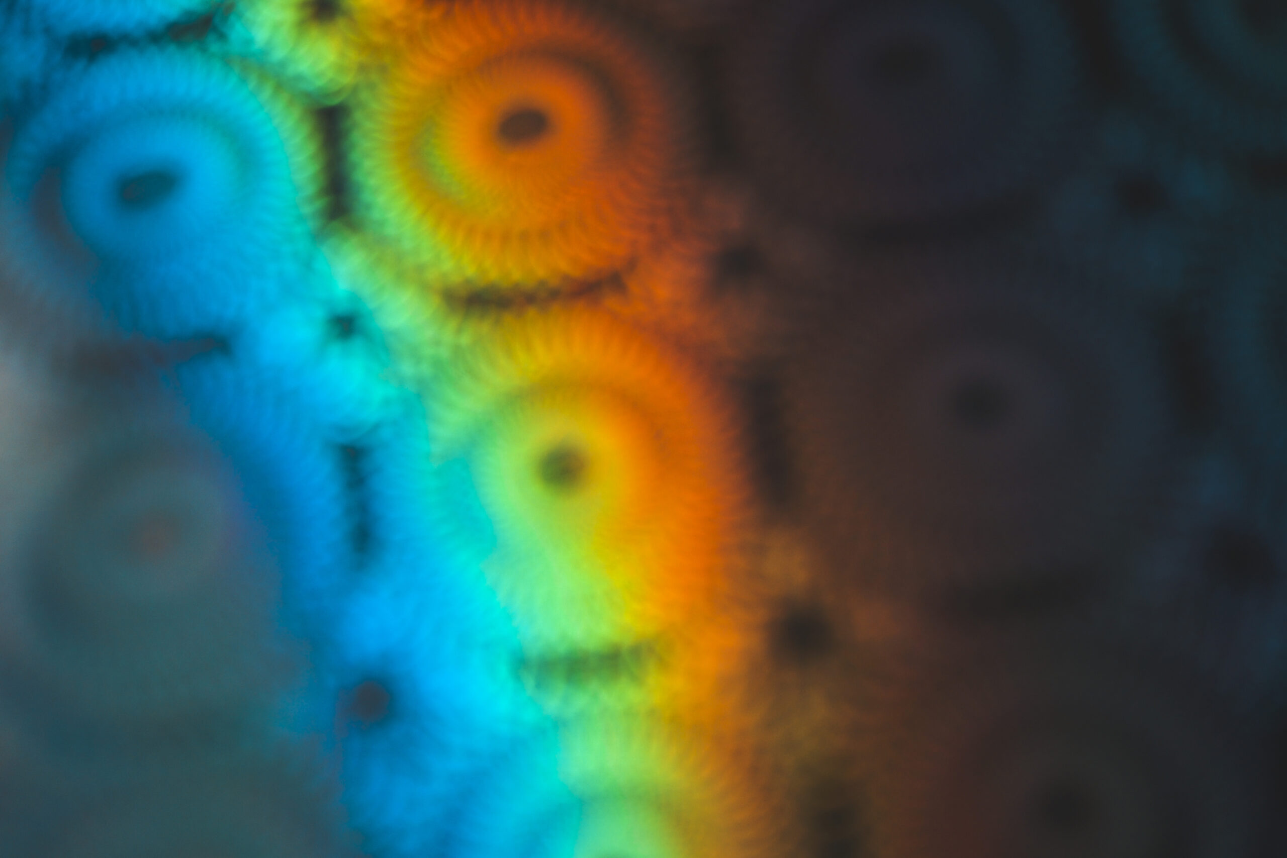 What Psychedelic Clinical Trials Need Now: Key Takeaways from the Bold Conversation